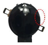 G13550209