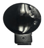 G13550212