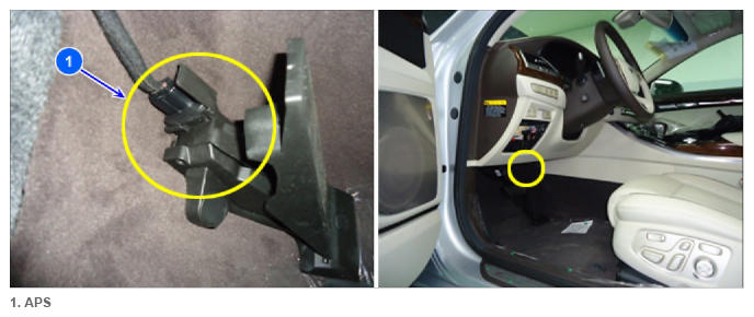 G13555897