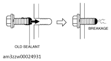 G13556609