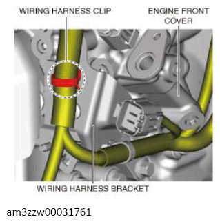G13556618