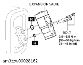 G13559152