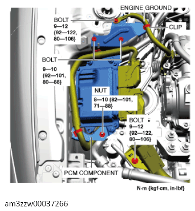 G13559215
