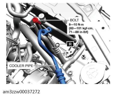 G13559224