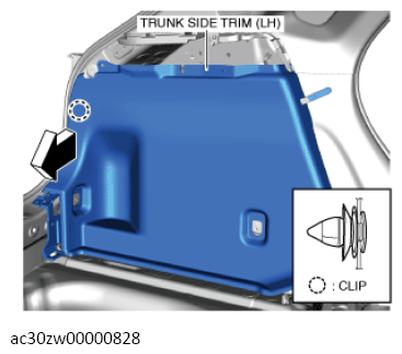 G13560353
