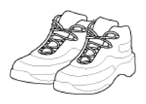 G13562916