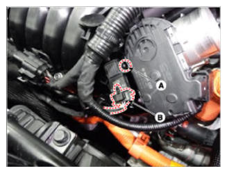 G13562982