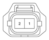 G13563058