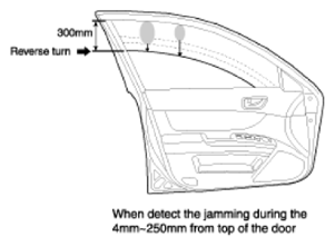 G13564996