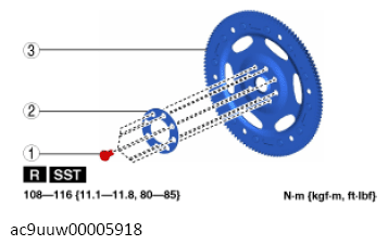 G13571061
