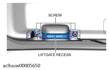 G13573685