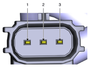 G13575993