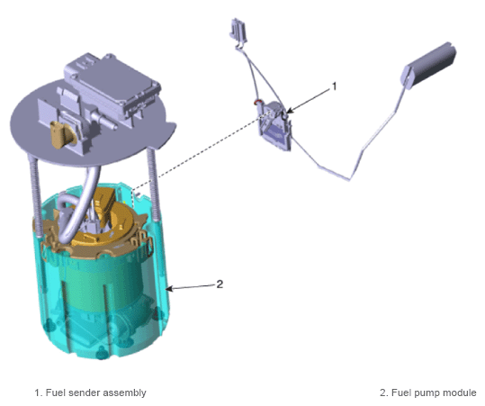G13576193