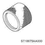G13591929