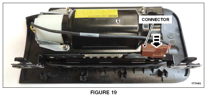 G13595356