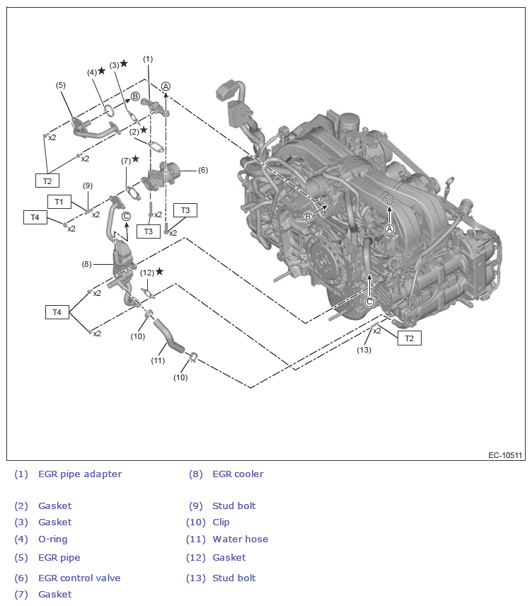 G13618669