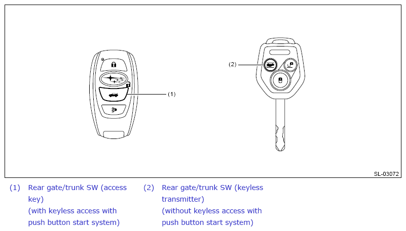 G13633043