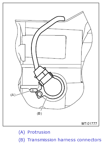G13648096