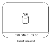 G13657556