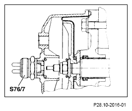 G13657558