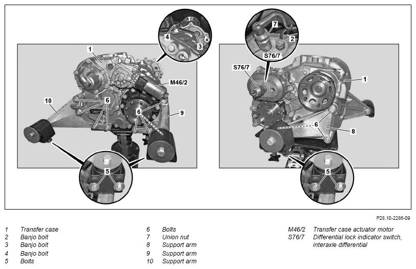 G13657568