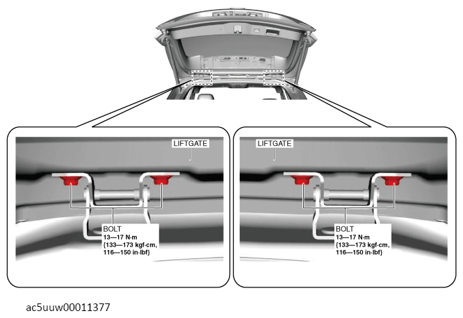 G13675744