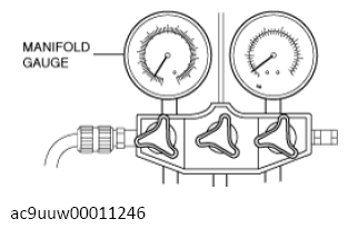 G13699983