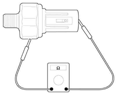 G13704381