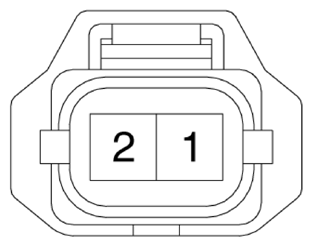 G13704681