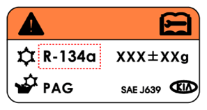 G13706598