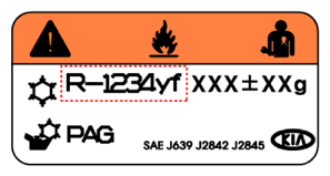 G13706599