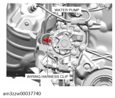 G13713429