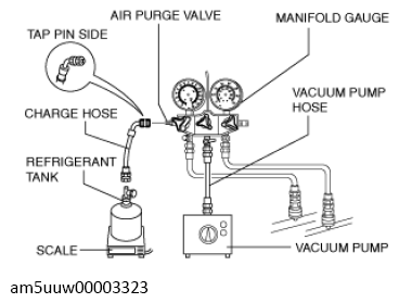 G13728809