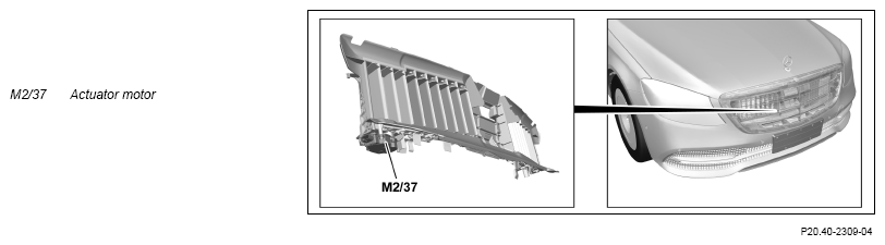 G13744293