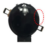 G13836368