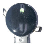 G13836370