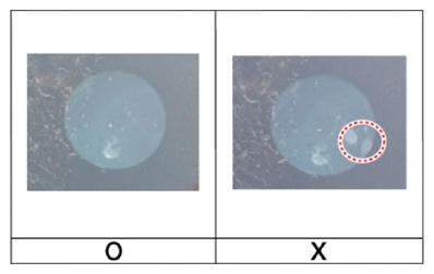 G13836377
