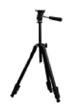 G13836552