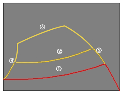 G13836708