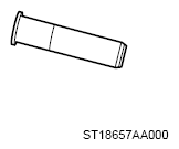G13950946