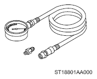 G13950956