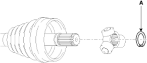 G14176404
