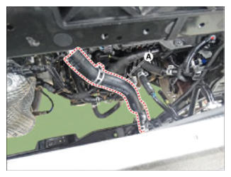 G14423433
