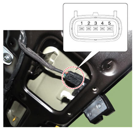 G14563896