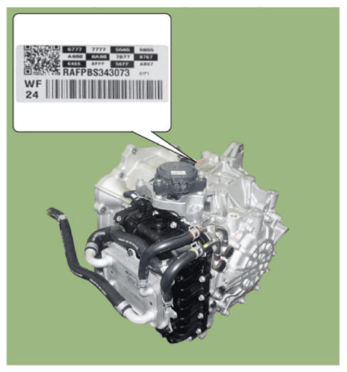 G14774861