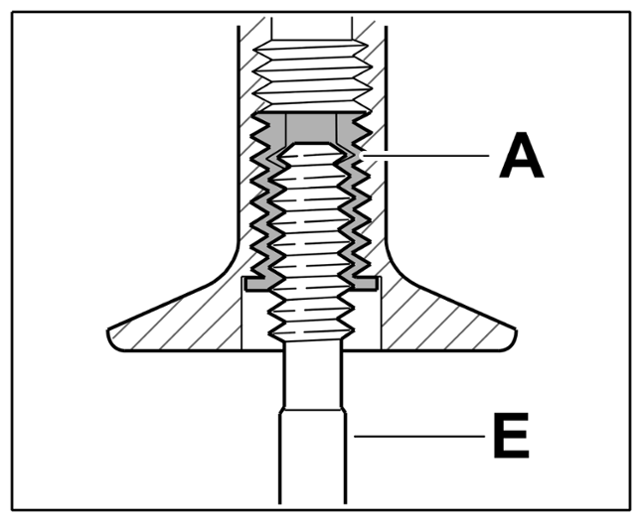 G14953696