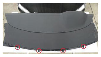 G15407295