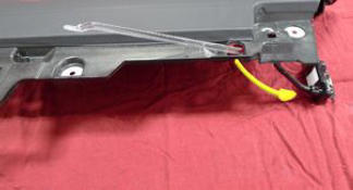 G15437919