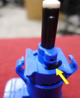 G15439925