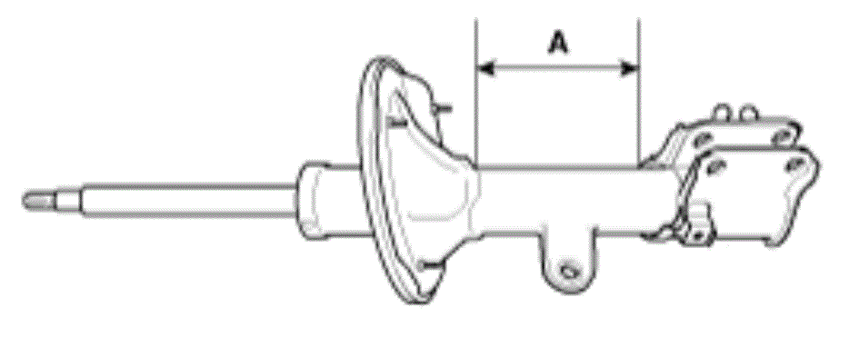 G15475055